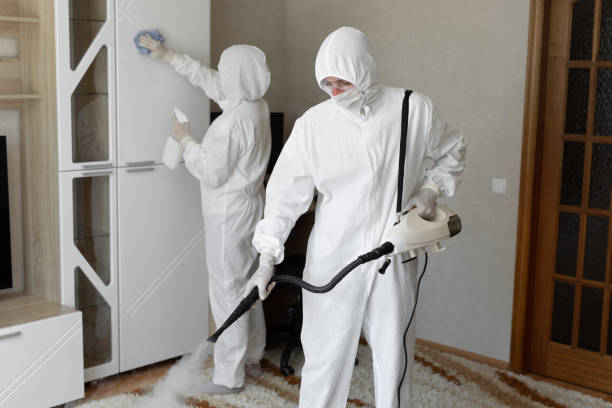 24/7 Emergency Odor Removal experts in Quincy, FL