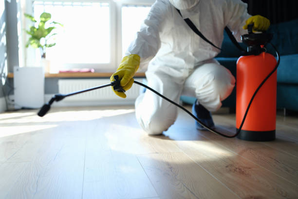 Reliable Odor Removal contractor in Quincy, FL by Trauma Clean Pros
